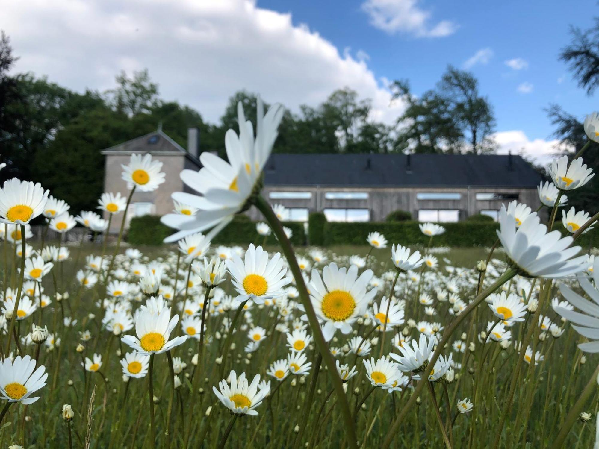 Domaine De L'Ardoisiere Villa Alle ภายนอก รูปภาพ