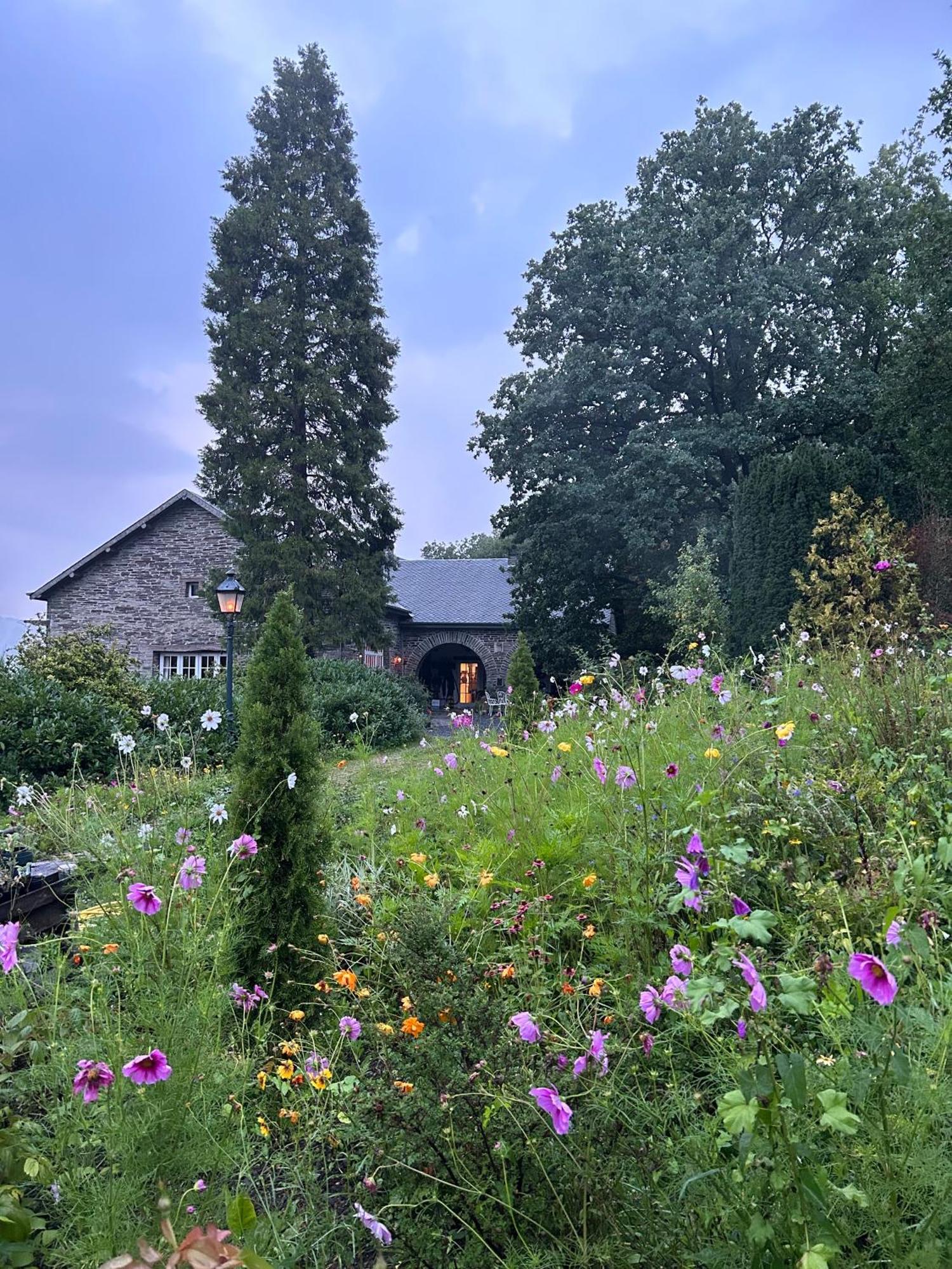 Domaine De L'Ardoisiere Villa Alle ภายนอก รูปภาพ