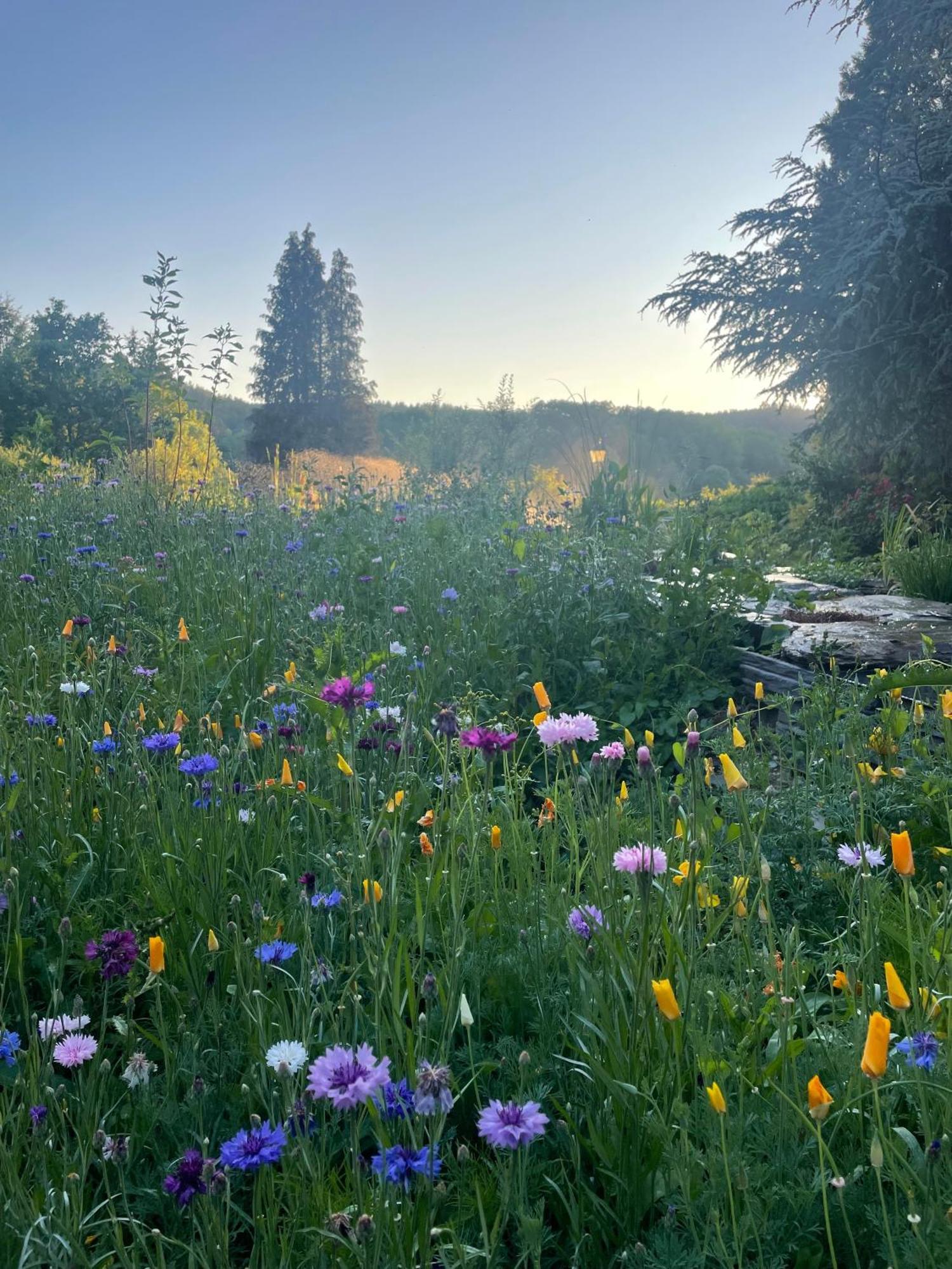 Domaine De L'Ardoisiere Villa Alle ภายนอก รูปภาพ