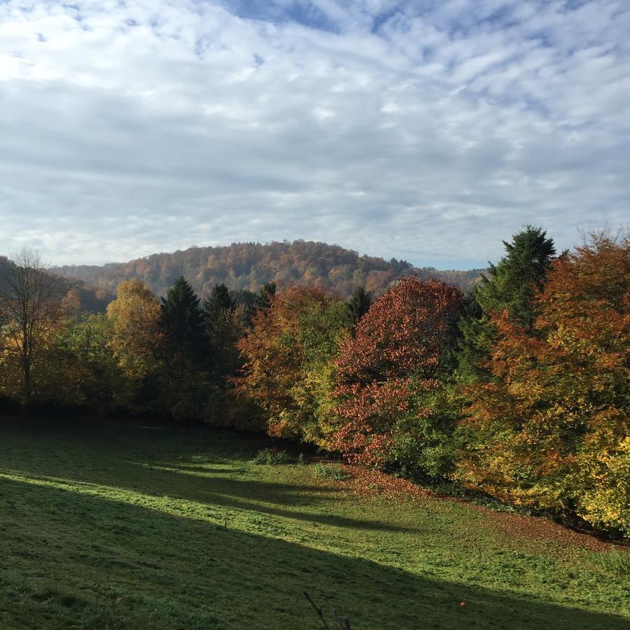 Domaine De L'Ardoisiere Villa Alle ภายนอก รูปภาพ