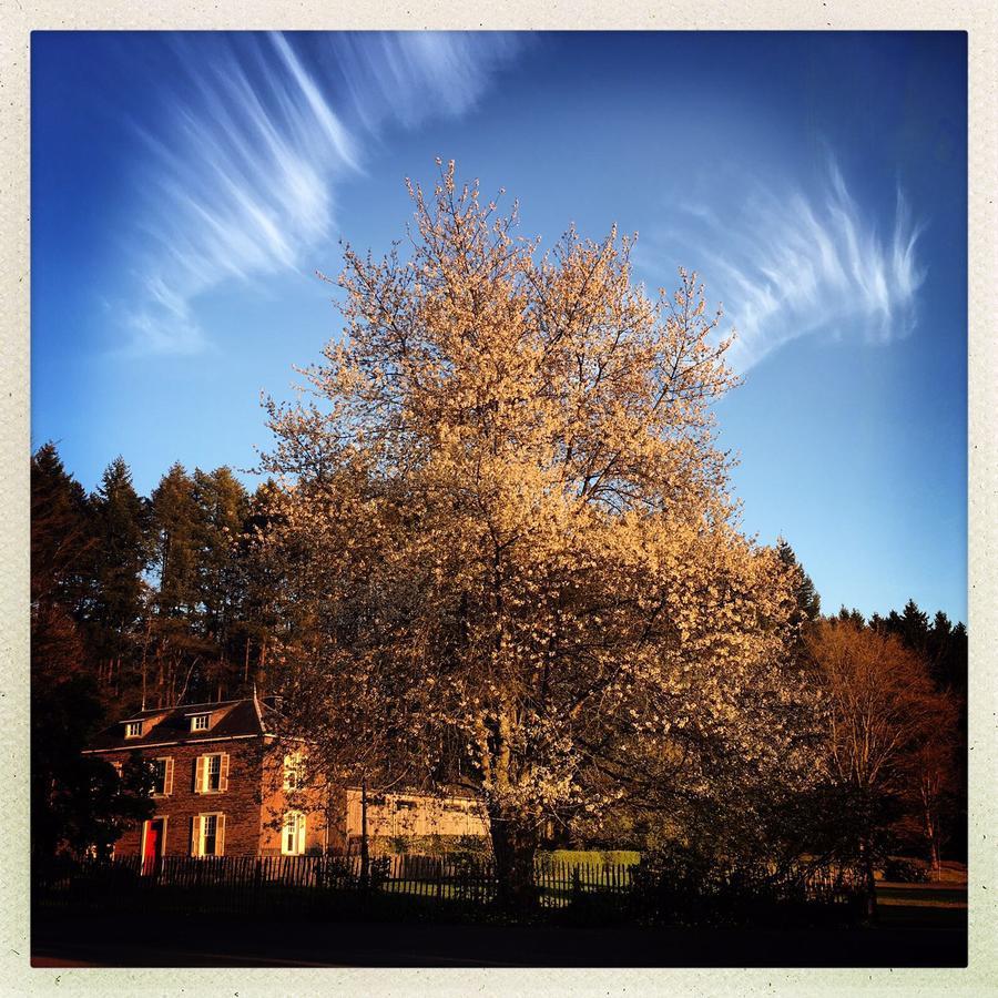 Domaine De L'Ardoisiere Villa Alle ภายนอก รูปภาพ